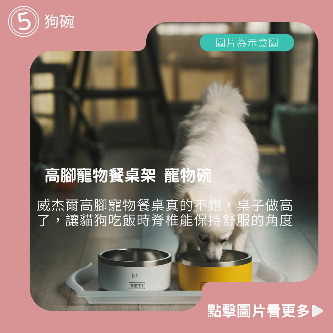 【威杰爾】高腳寵物餐桌架 寵物碗 寵物碗架組 狗碗架 寵物餐桌【G072】