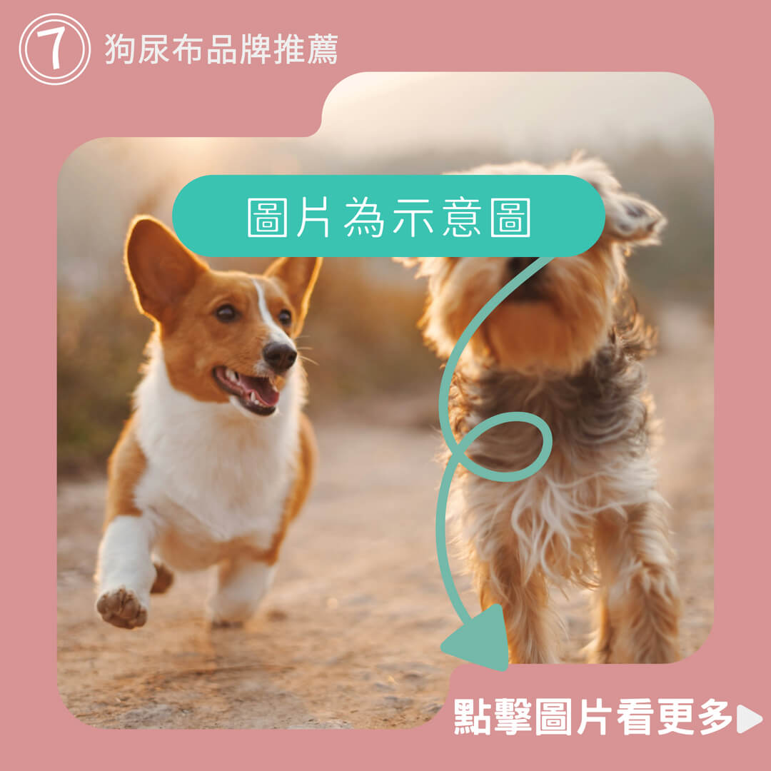 [多款尺寸] 狗狗尿布墊、公狗禮貌帶、狗狗生理褲、紙尿褲-商品評價