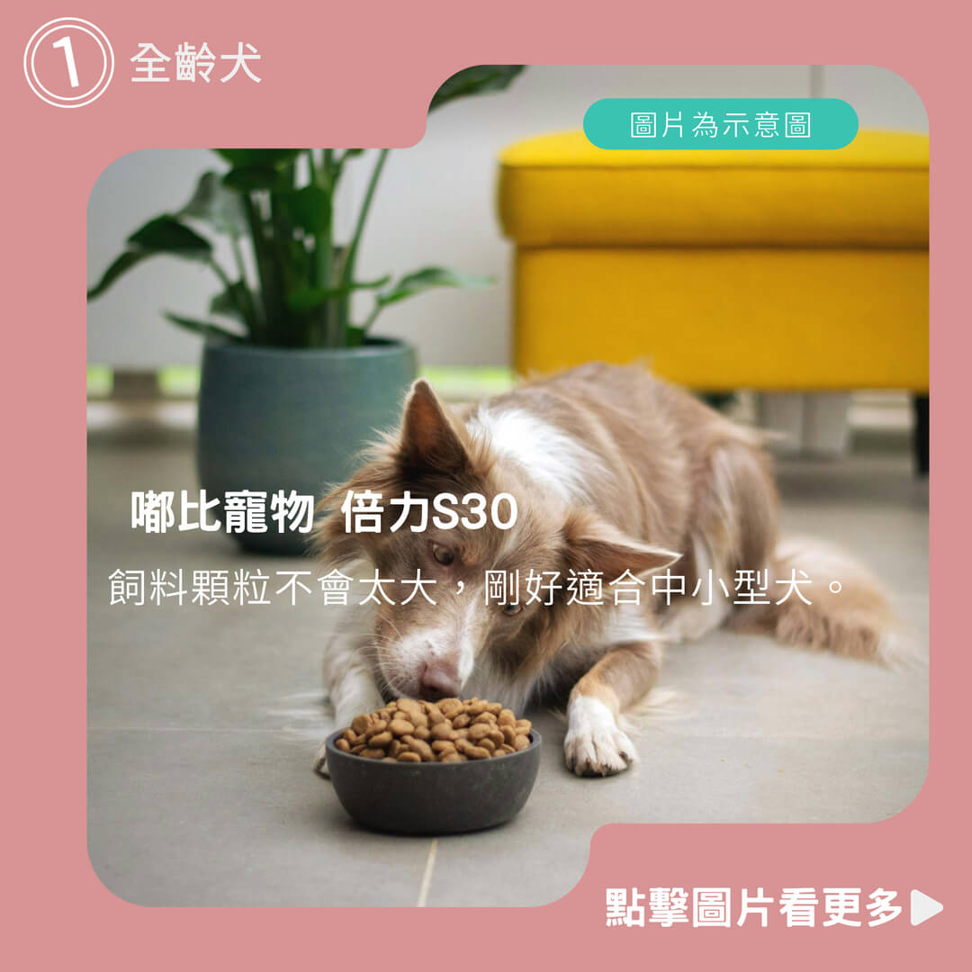 狗飼料推薦 嘟比寵物 倍力S30 狗飼料 鮭魚/雞肉/羊肉/ 幼犬/成犬/老犬/全齡犬