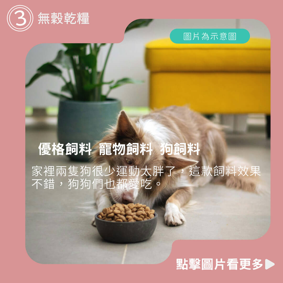 優格飼料 寵物飼料 狗飼料 狗乾糧 無穀乾糧 狗食 幼犬 成犬 高齡犬 成幼犬 室內犬