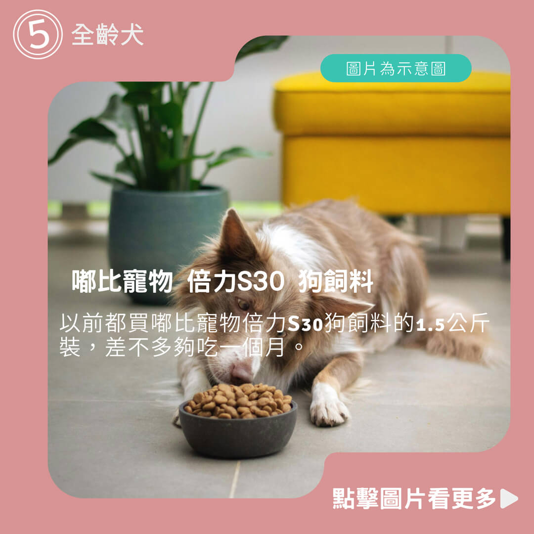 嘟比寵物 倍力S30 狗飼料 鮭魚/雞肉/羊肉/ 幼犬/成犬/老犬/全齡犬