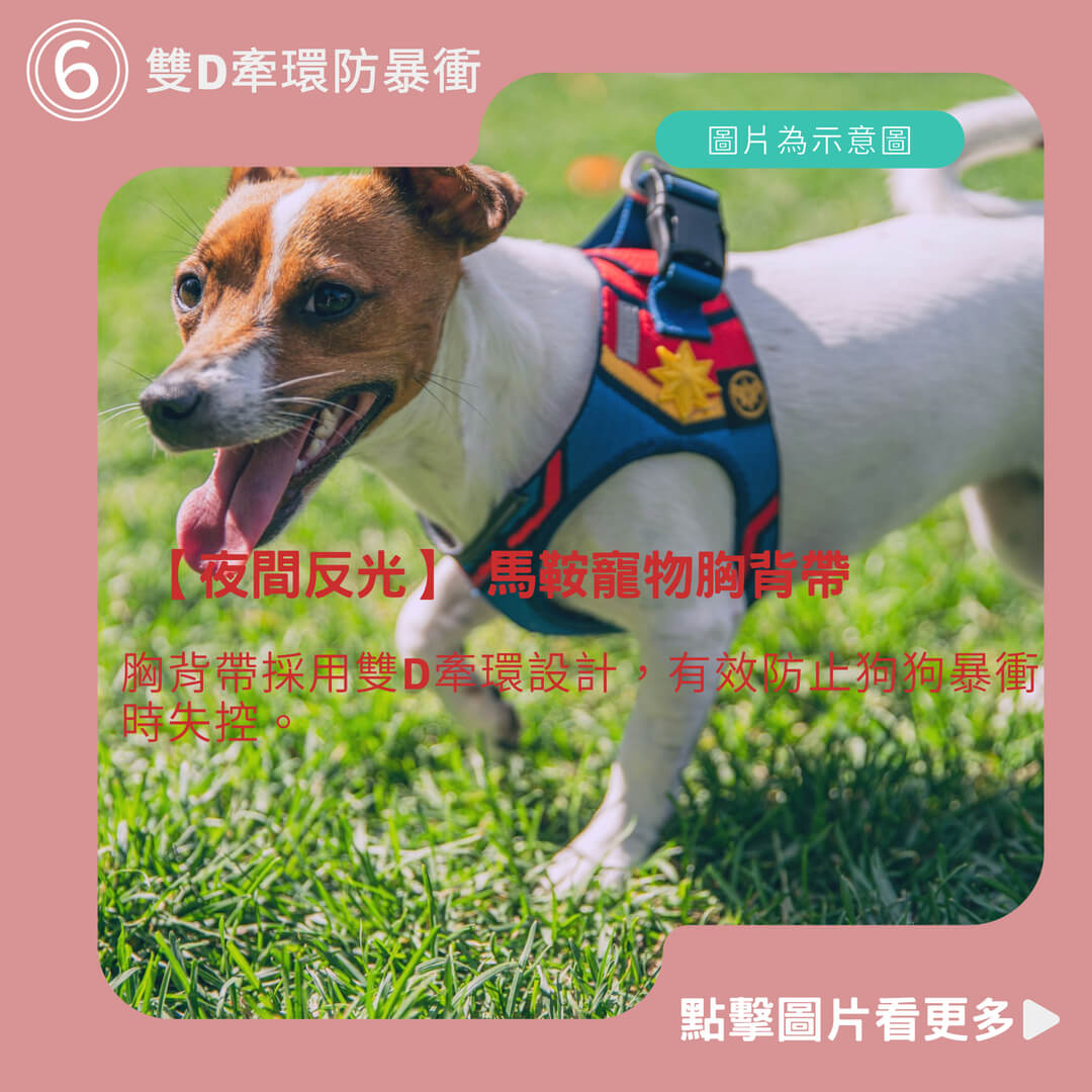 【夜間反光】 馬鞍寵物胸背帶 小中大型犬防暴衝胸背帶 不勒氣管 防掙脫 輕量防暴衝胸背帶