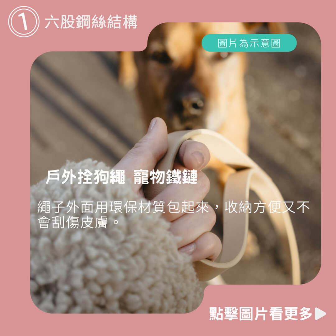 戶外拴狗繩 狗狗牽繩 寵物鐵鏈 狗鐵鏈 防咬加粗拴狗鋼絲繩