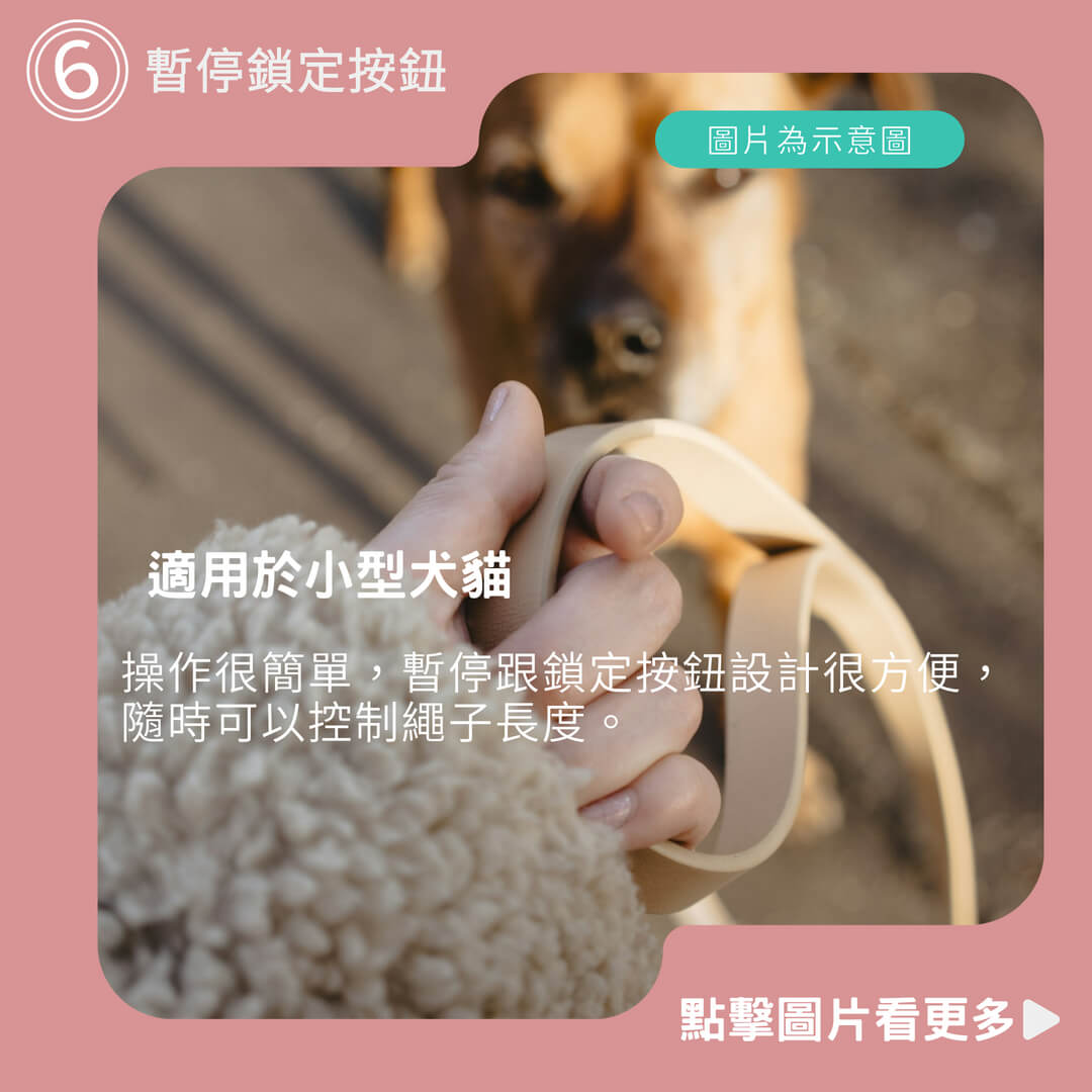 Holapet 3m 5m 寵物牽引繩適用於小型犬 貓尼龍可伸縮輪盤 自動延長牽引繩