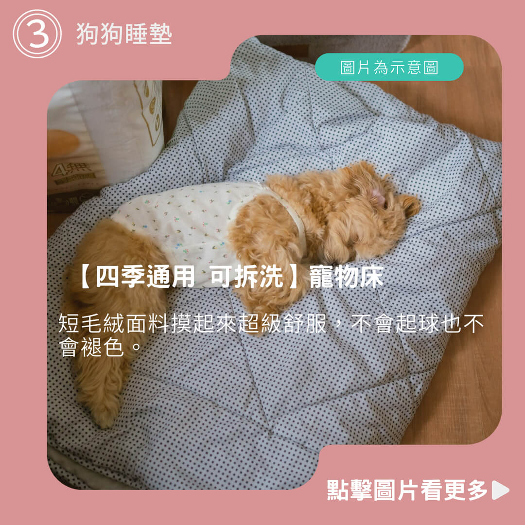 【四季通用 可拆洗】寵物床 寵物床可拆洗  狗狗睡墊 狗狗床墊