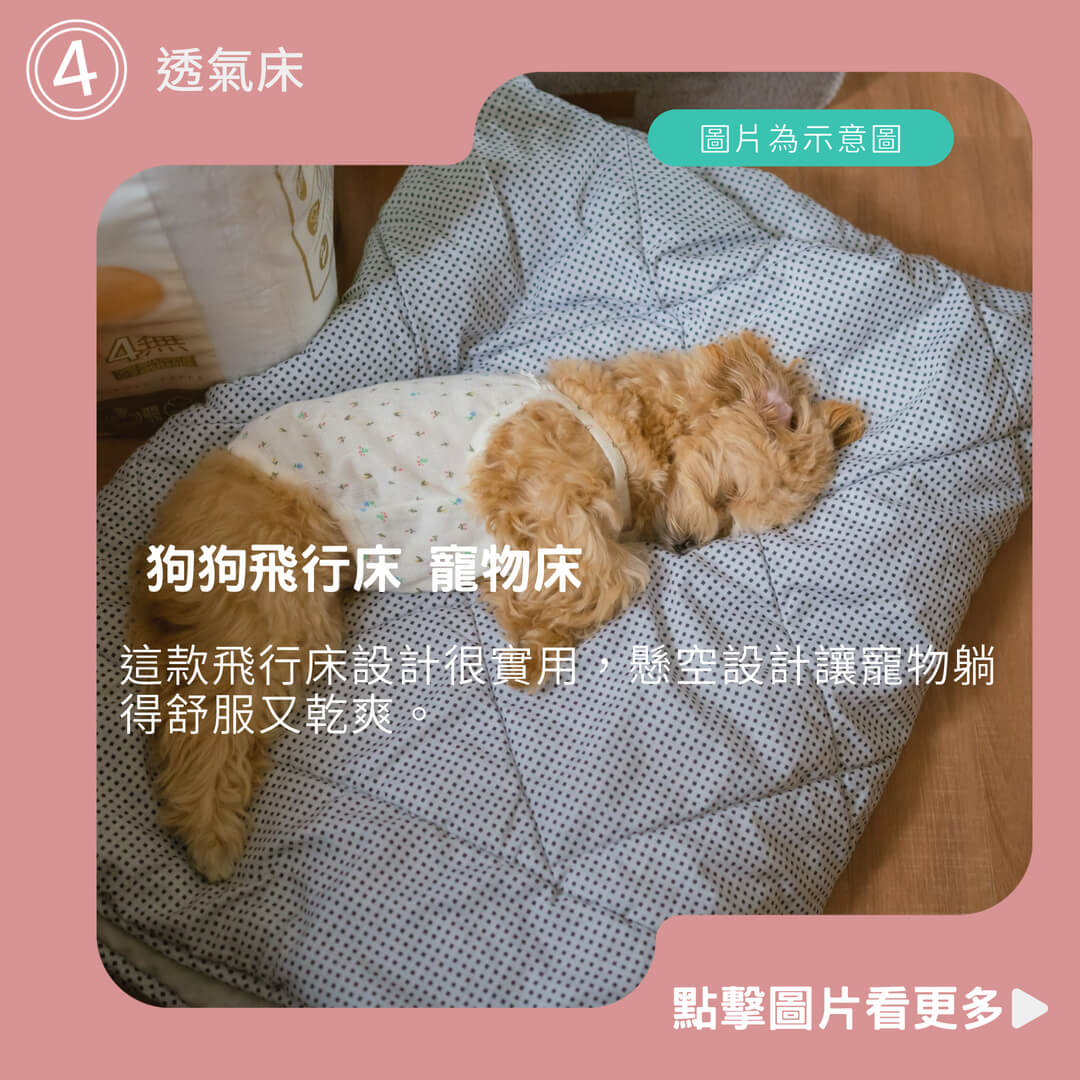【寵星球】寵物行軍床 P&P正版 寵物飛行床 狗狗飛行床 透氣床