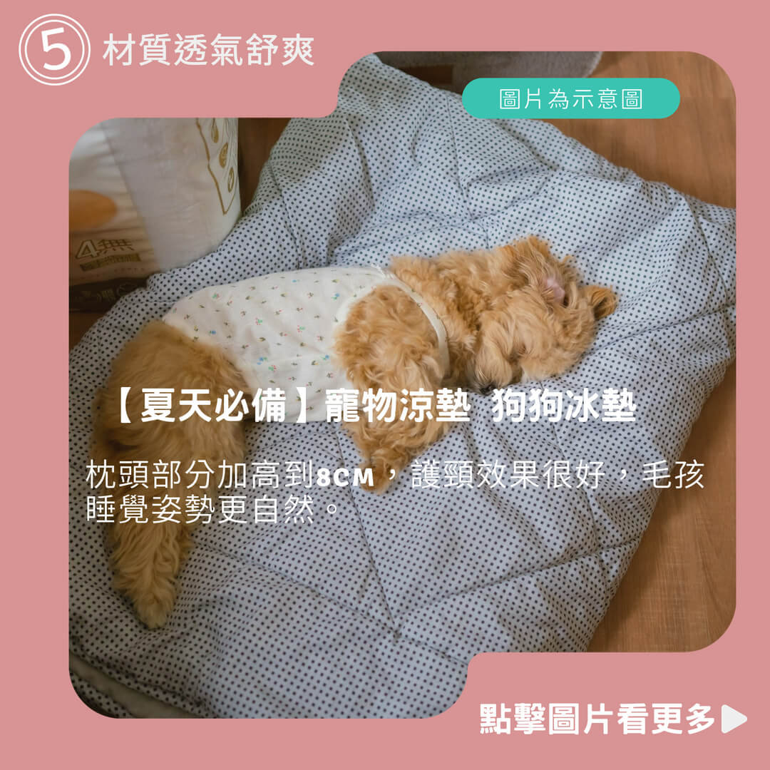 【夏天必備】寵物涼墊 狗狗冰墊 寵物冰絲墊 寵物涼感墊