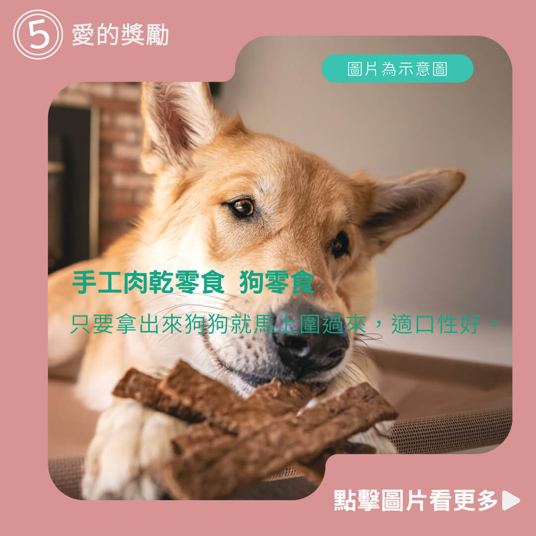 【小搗蛋鬼の王國】愛的獎勵《犬用零食系列超值包》手工肉乾零食 狗零食 雞肉片 肉條