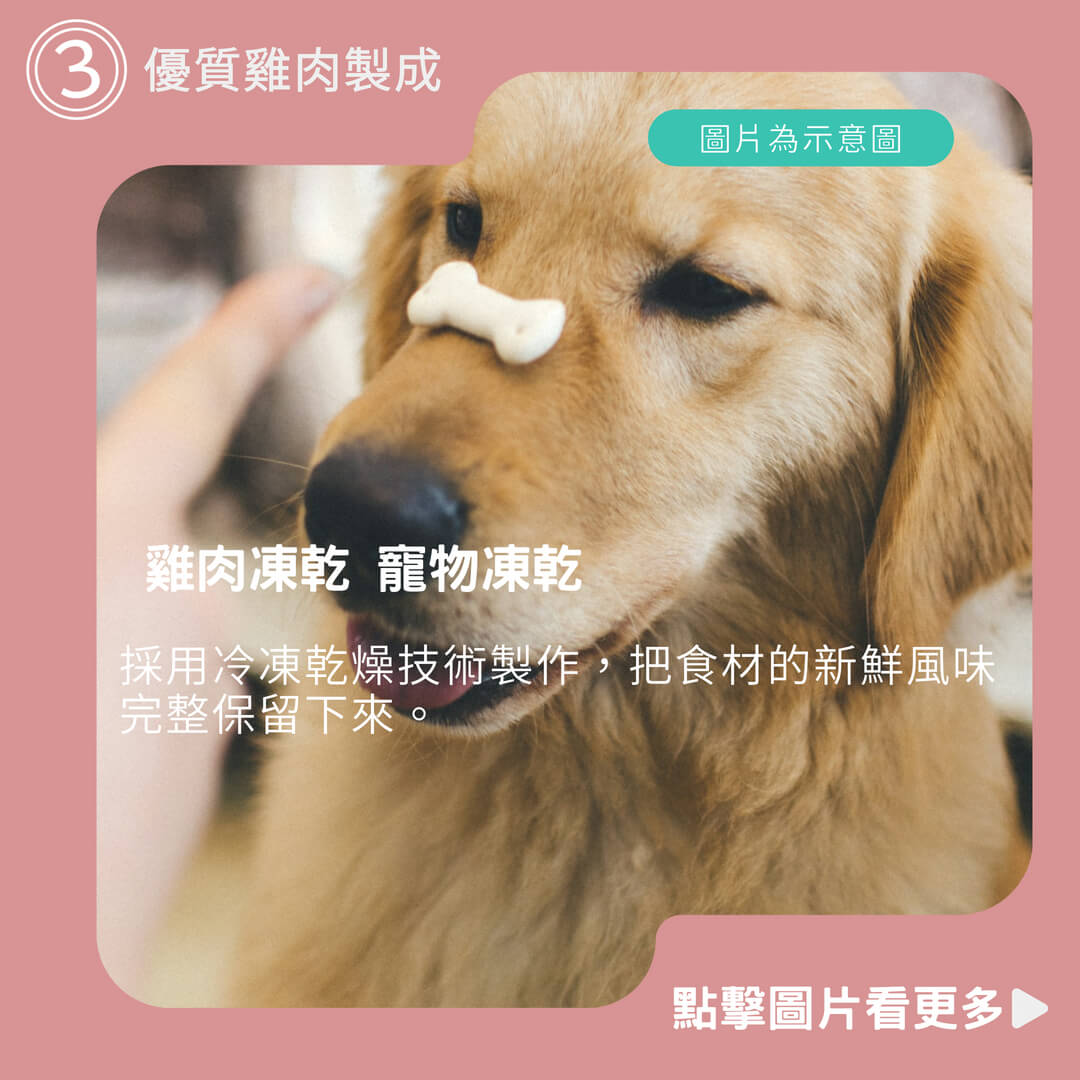 【寵物王】 雞肉凍乾 翻肚肚凍乾  寵物凍乾 