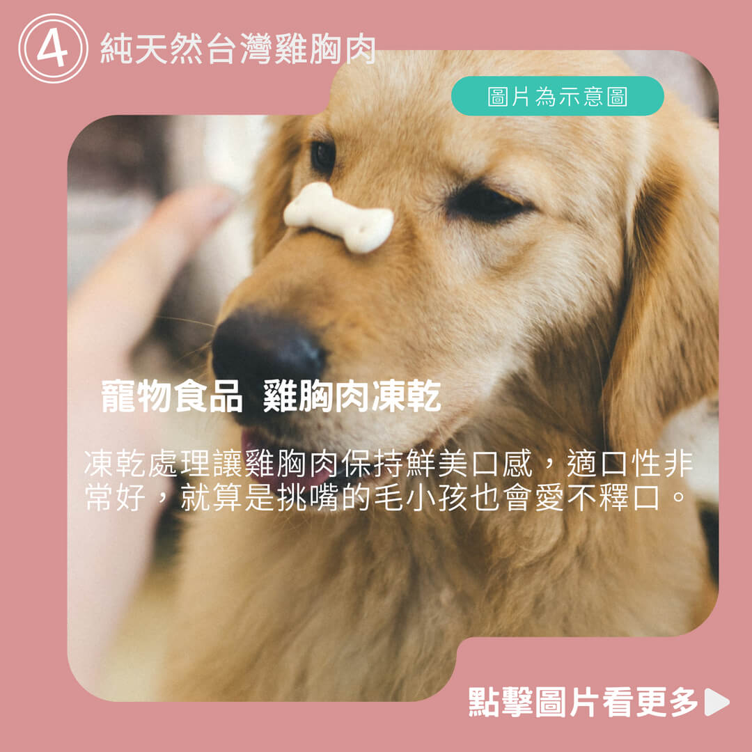 寵物食品 寵物凍乾 雞肉凍乾 雞胸肉凍乾 蔬菜凍乾 優格凍乾 牛肉凍乾 寵物零食
