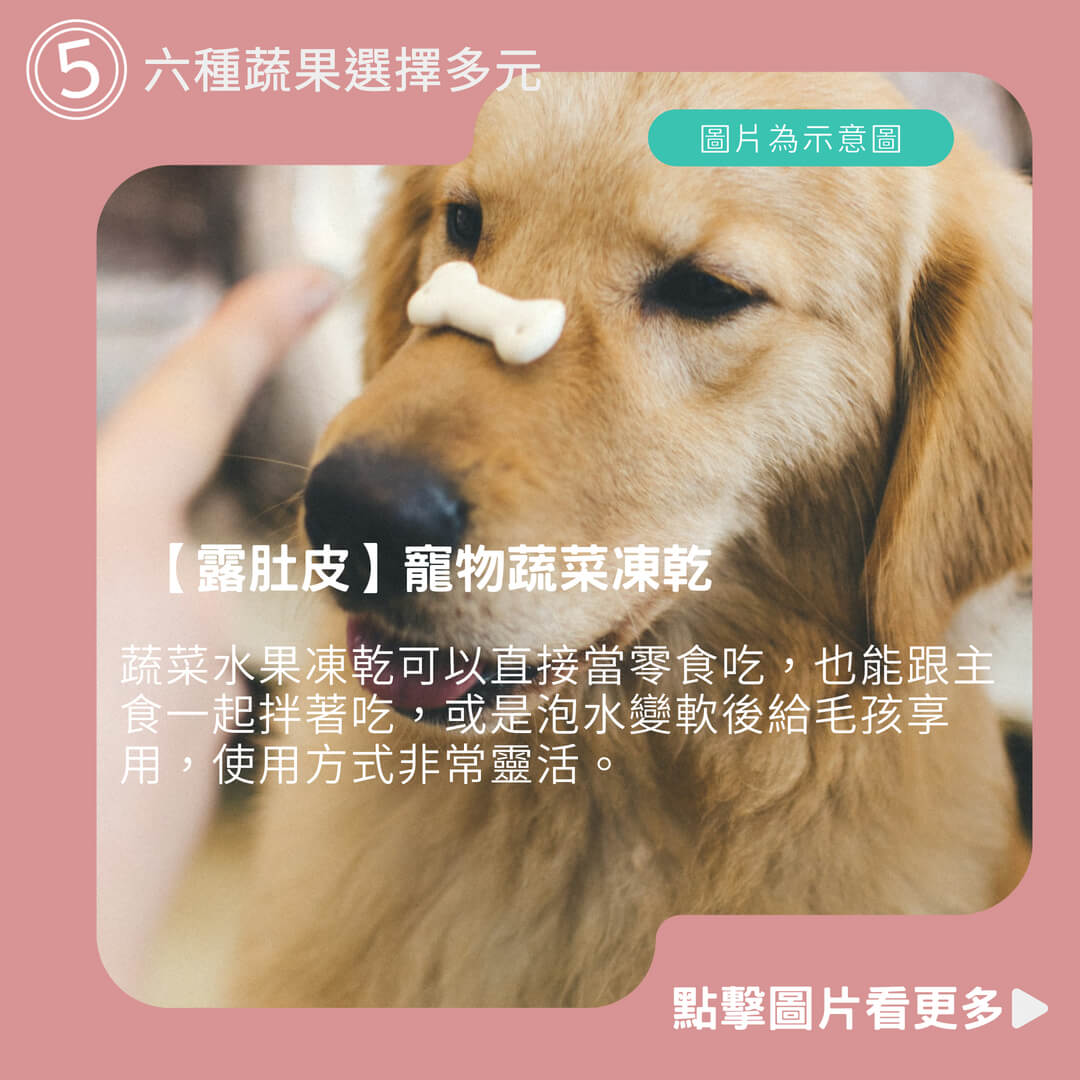 【露肚皮】寵物蔬菜凍乾｜犬貓鼠兔適用｜ 寵物凍乾 狗狗凍乾 寵物蔬菜凍乾