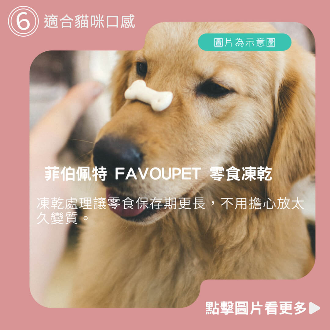 【愛貓聯盟】寵物凍乾 零食凍乾 菲伯佩特 FAVOUPET