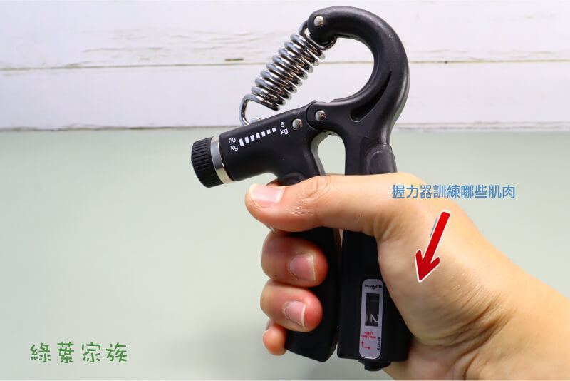 握力器主要訓練哪些肌肉，使用握力器時，主要會用到手掌及前臂的力量