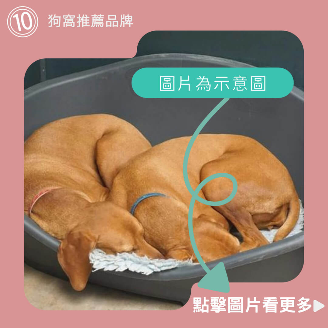 狗窩可拆洗、保暖寵物屋、可折疊寵物、狗窩房子型、保暖四季通用、寵物深度睡眠