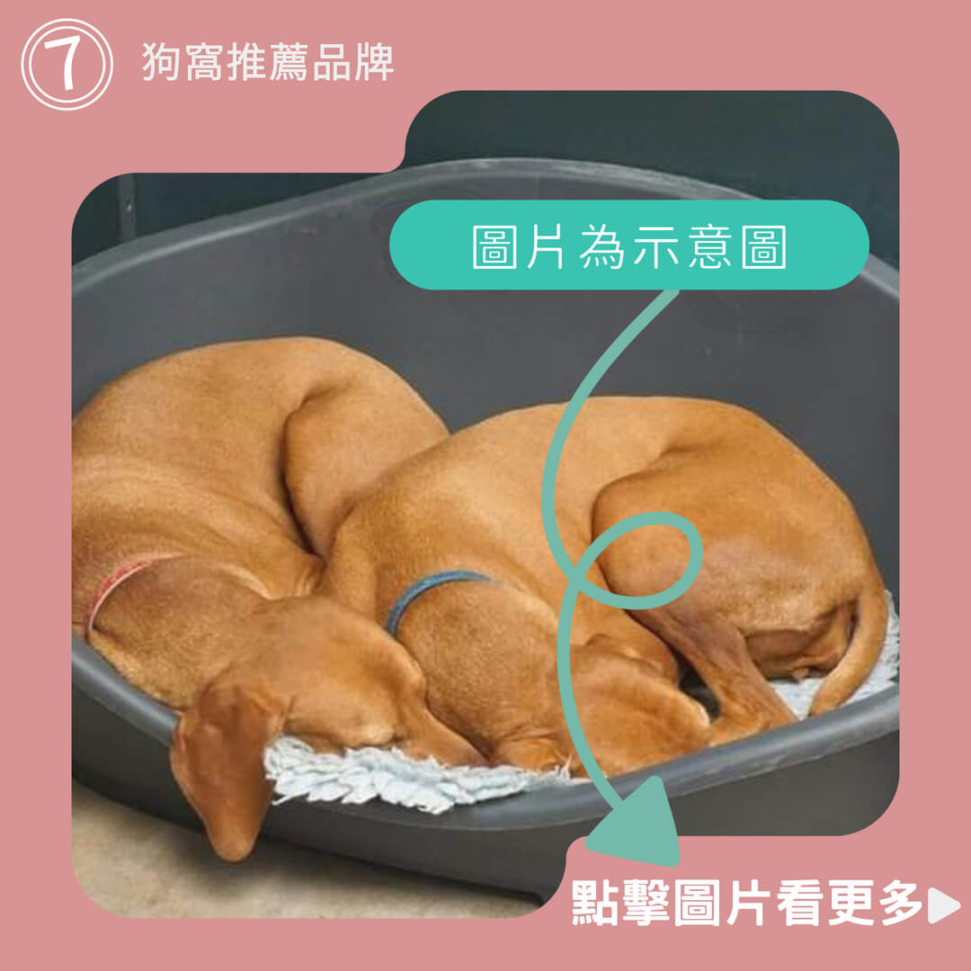 升級保暖、熱銷萬件、寵物窩 寵物床、狗窩 、狗狗床、寵物睡墊、狗墊、寵物墊