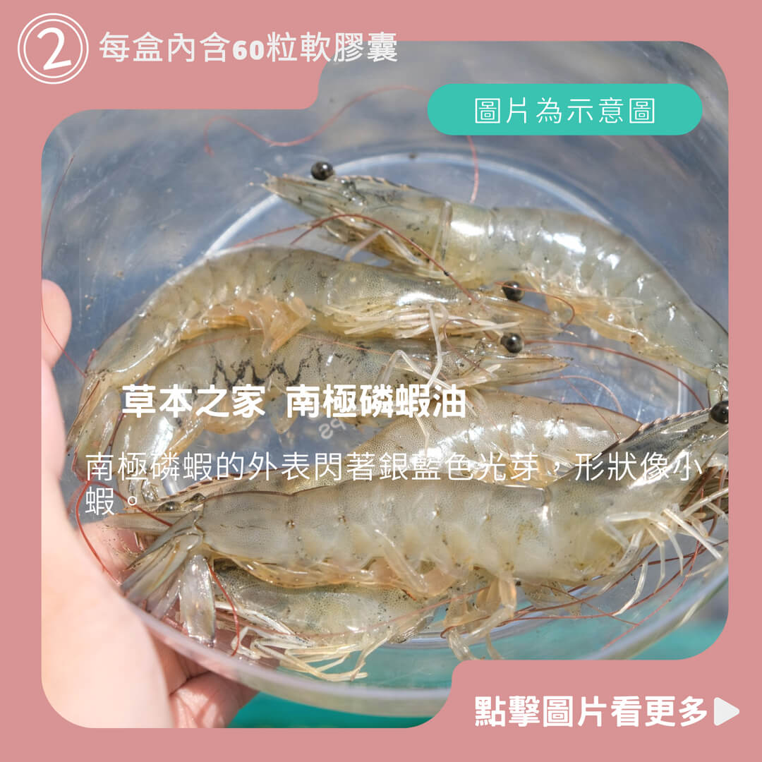 磷蝦油推薦 草本之家 南極磷蝦油(60粒/盒)Q10 輔酵素 挪威 DHA 蝦紅素 EPA 滋補強身 增強體力