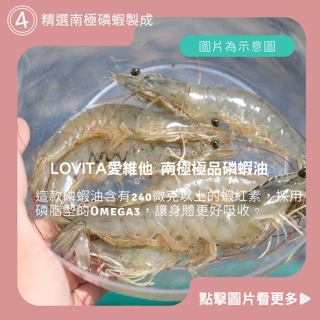 LOVITA愛維他 南極極品磷蝦油1200mg(60顆)(蝦紅素,DHA,EPA,Omega3,南極磷蝦)