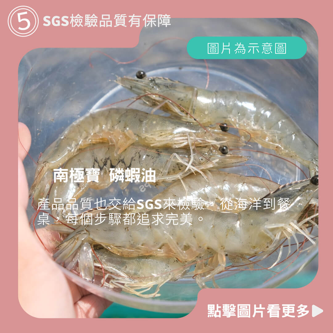 南極寶 磷蝦油《現貨供應 不用等》