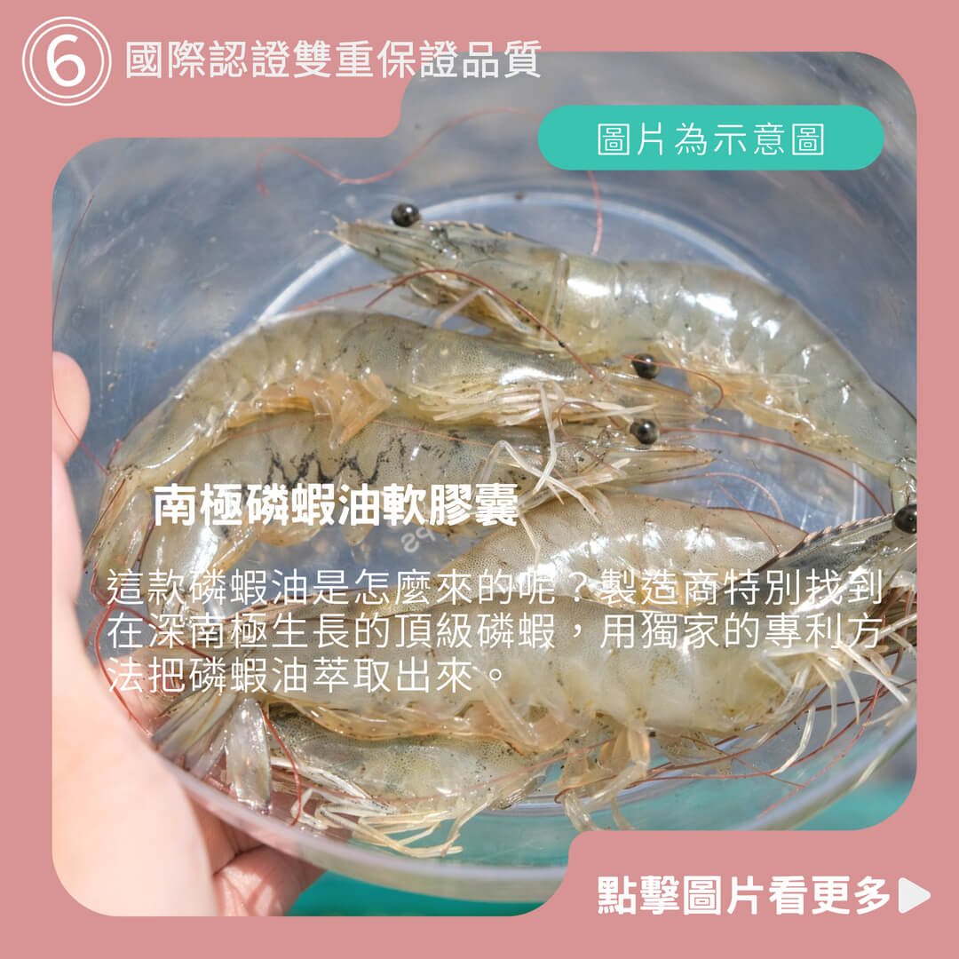 南極磷蝦油軟膠囊 krill oil 蝦紅素 專利製程 超臨界萃取 品質保證 DHA EPA 現貨【神農嚴選】