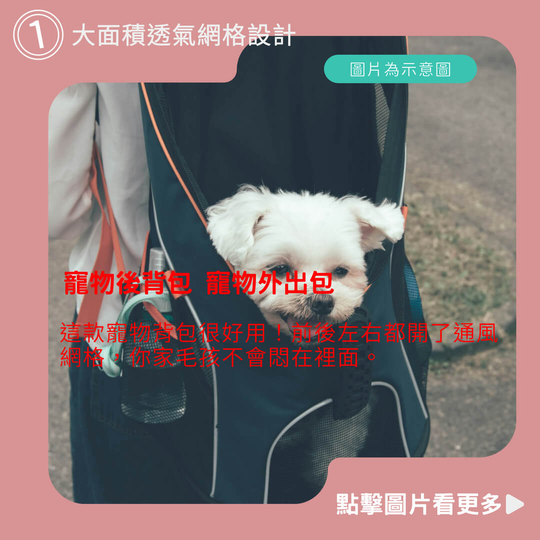 寵物背包推薦 寵物背包 寵物後背包 寵物外出包 貓咪外出包 寵物外出籠 貓背包 狗背包