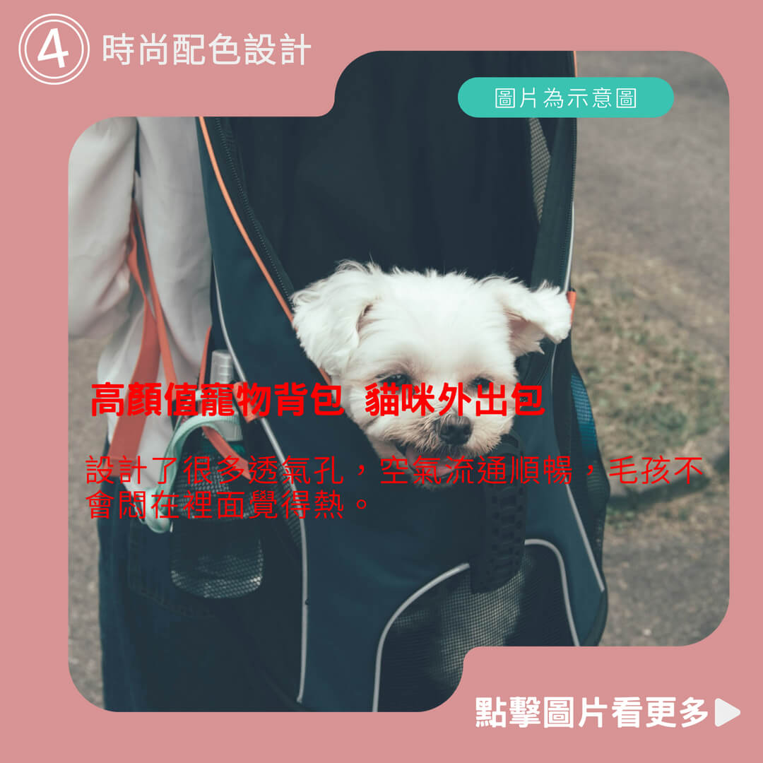 高顏值寵物背包 寵物外出包 寵物背包 貓咪外出包 狗狗外出包 貓背包 寵物後背包