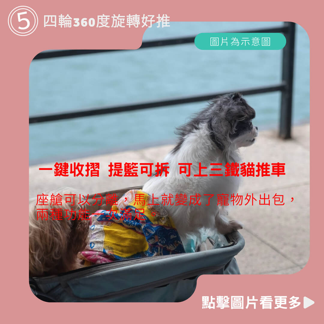 一鍵收摺 提籃可拆 可上三鐵貓推車 狗推車 四輪推車 寵物外出車 中大型貓