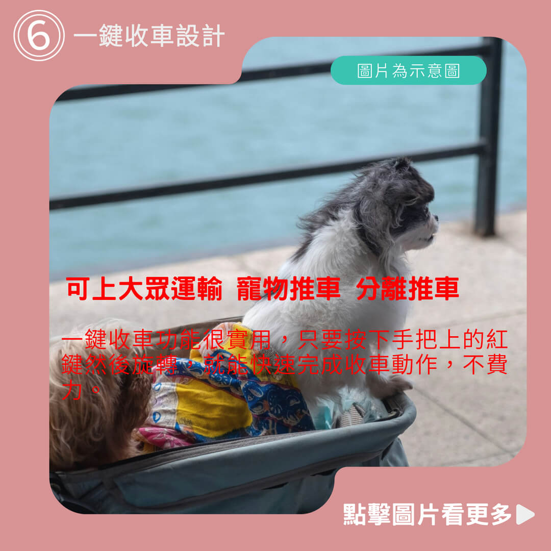 【SkyLife】可上大眾運輸 寵物推車 分離推車 三輪四輪寵物推車 寵物外出包 