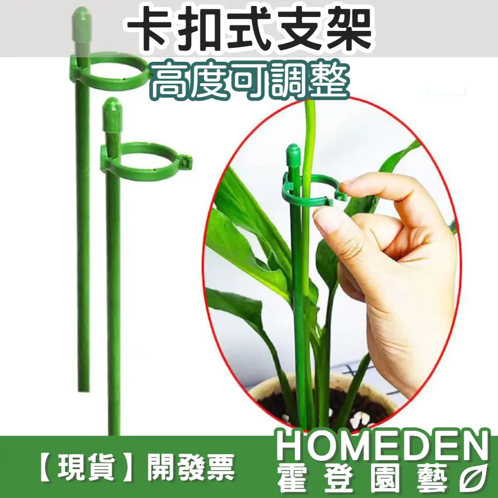 卡扣式支架 (適合花類植物)