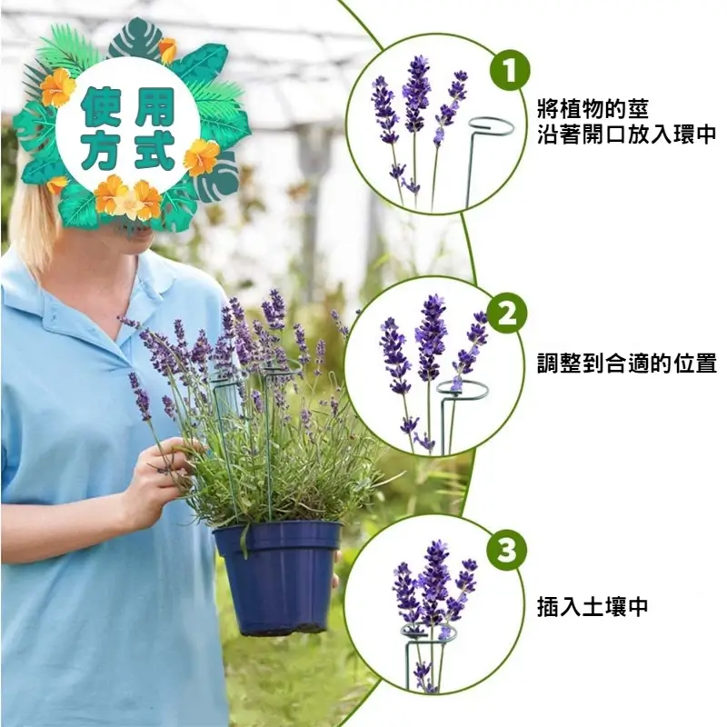 植物支撐桿 (適合蘭花支架、蝴蝶蘭、多肉植物)