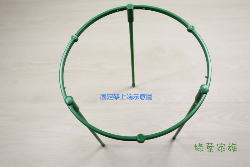 植物固定支架，上端示意圖