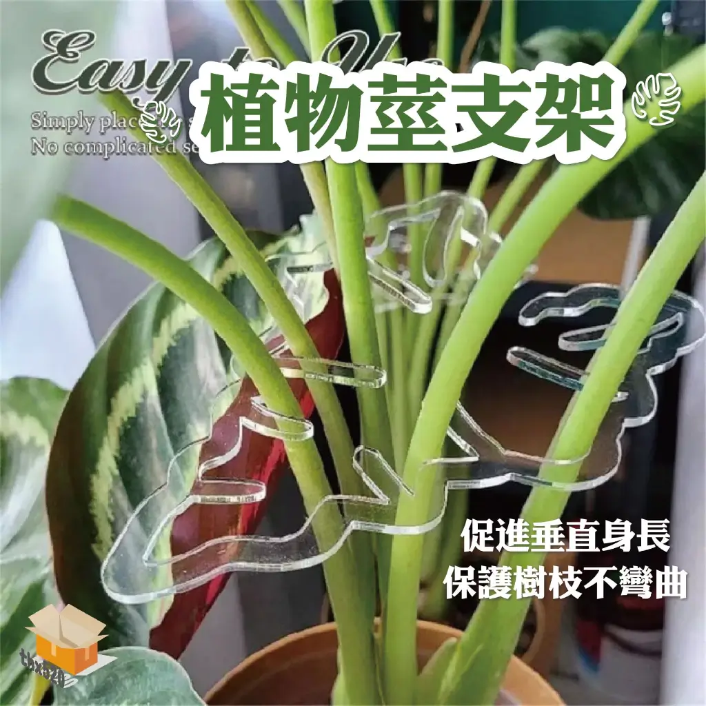 龜背芋架-商品特點評價 (8)