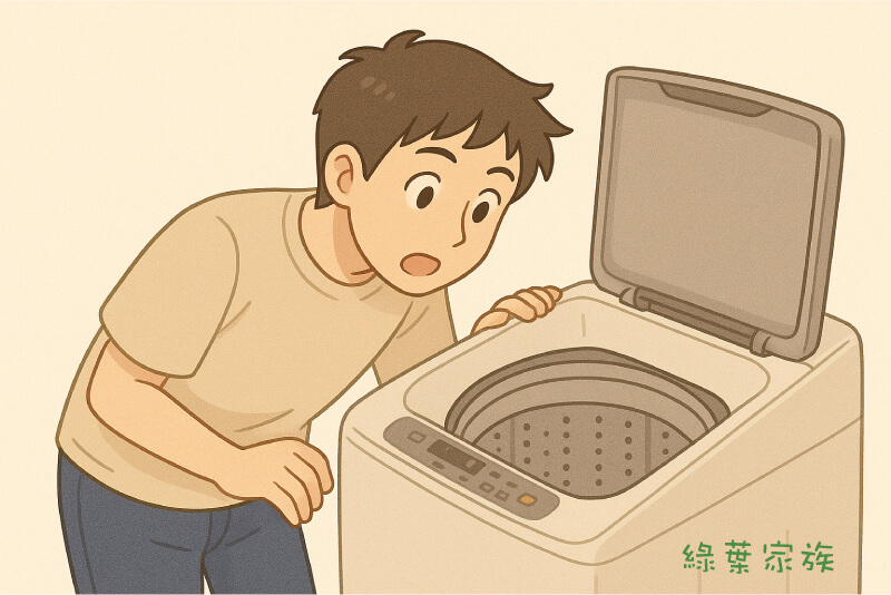 直立式洗衣機推薦,選購觀點總結