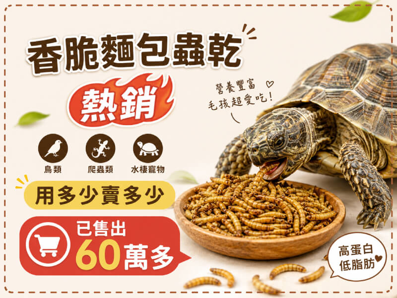 PJ小舖 麵包蟲乾 蜜袋鼯 柯爾鴨飼料 龍魚 兩棲爬蟲 澤龜 守宮 鬆獅蜥蜴鳥鸚鵡