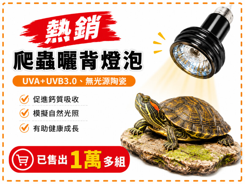 PJ小舖 爬蟲加熱燈泡 陸龜曬背燈 兩棲 UVA UVB 保暖 烏龜 兩棲 澤龜 水龜陶瓷蜥蜴