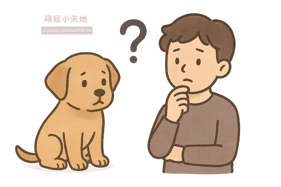 幼犬要關多久？其他要注意的事，除了體型，還要看年齡、品種、個性、當下環境。