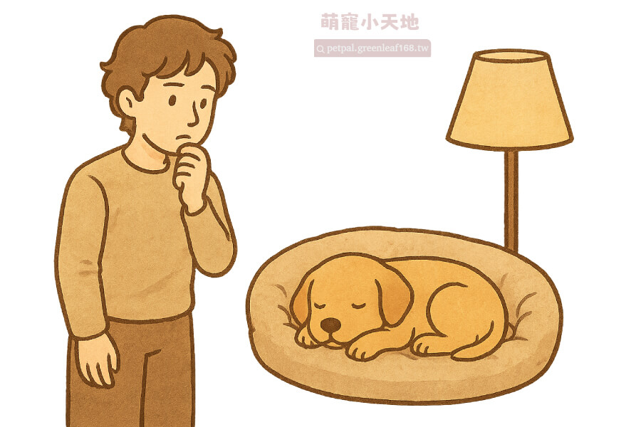 幼犬睡覺要開燈嗎？睡窩要怎麼弄？狗狗要有個安全、暖和的地方睡才行。
