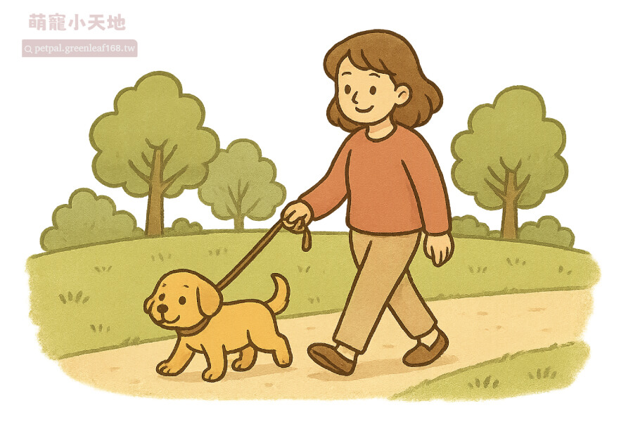 8週幼犬散步時間，第一次帶出門，重點不是讓牠玩得開心，而是讓牠知道外面長什麼樣子，學會在外面上廁所。