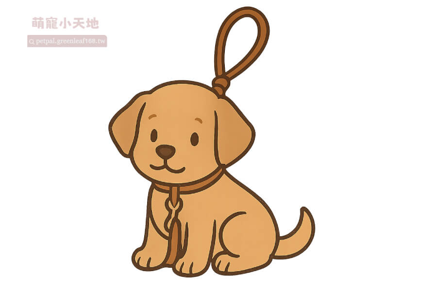幼犬幾時可出街？外出安全防護怎麼做？出門前準備什麼？