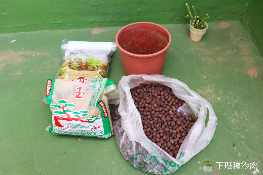 準備扦插的工具與材料，發泡煉石。多肉仙人掌專用土。赤玉土。種植珊瑚大戟的容器。