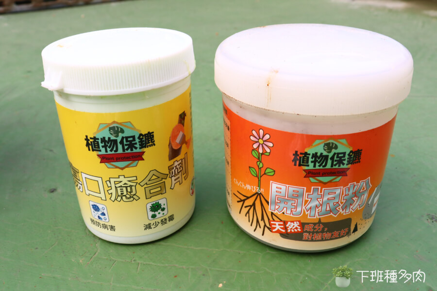 準備修剪的工具與材料準備，傷口癒合劑，開根粉