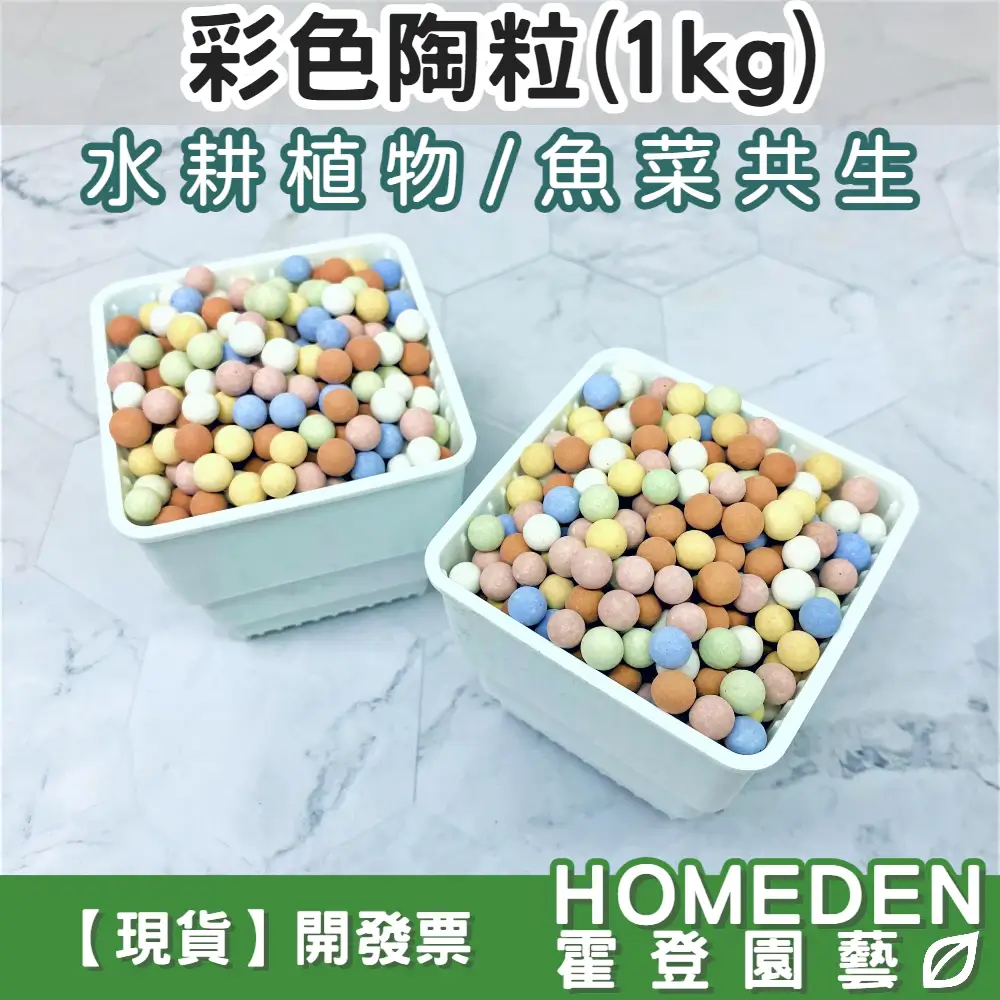 彩色陶粒 1kg 鋪面介質 HOMEDEN霍登園藝