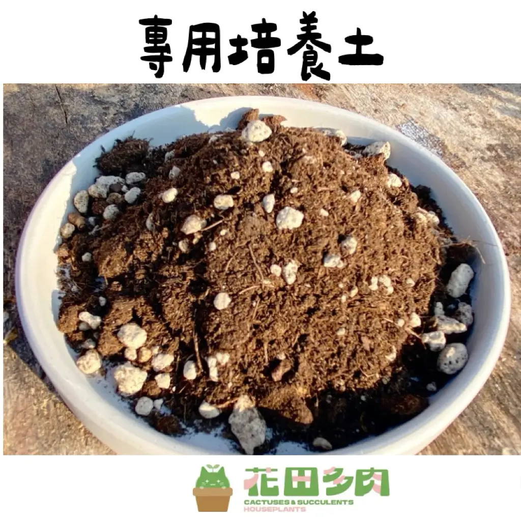 多肉專用培養土 花田多肉